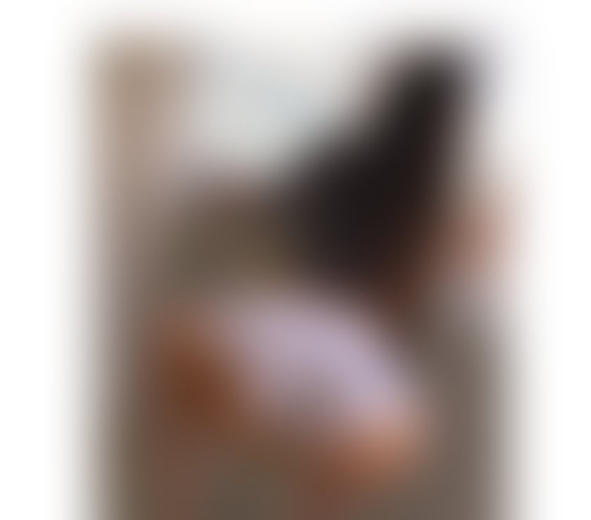 🌸Party 24 hours 🌸