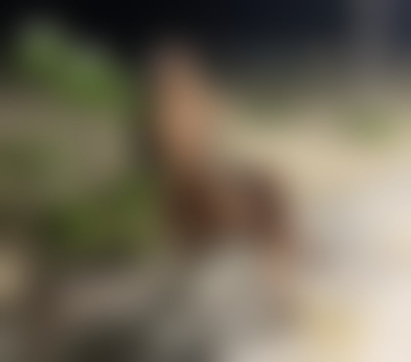 Escorts North London New Southgate - North London - Photos for ISABELLA PETITE GIRL LATINA 🔥😈🇧🇷