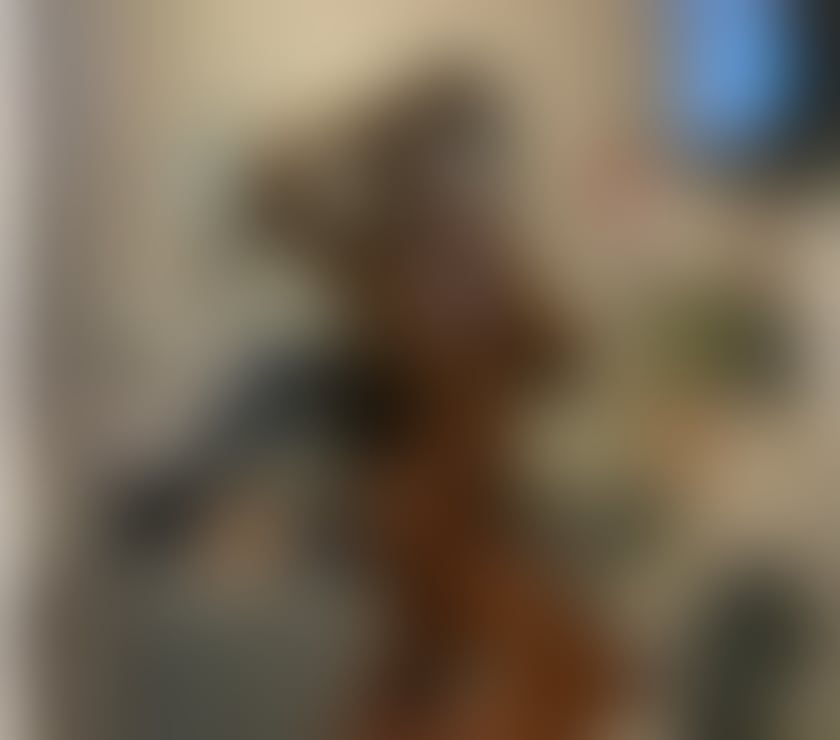 Escorts Aberdeen Aberdeen City Centre - Aberdeen - Photos for Sexy Sabrina new in town!!! Yummy party girl