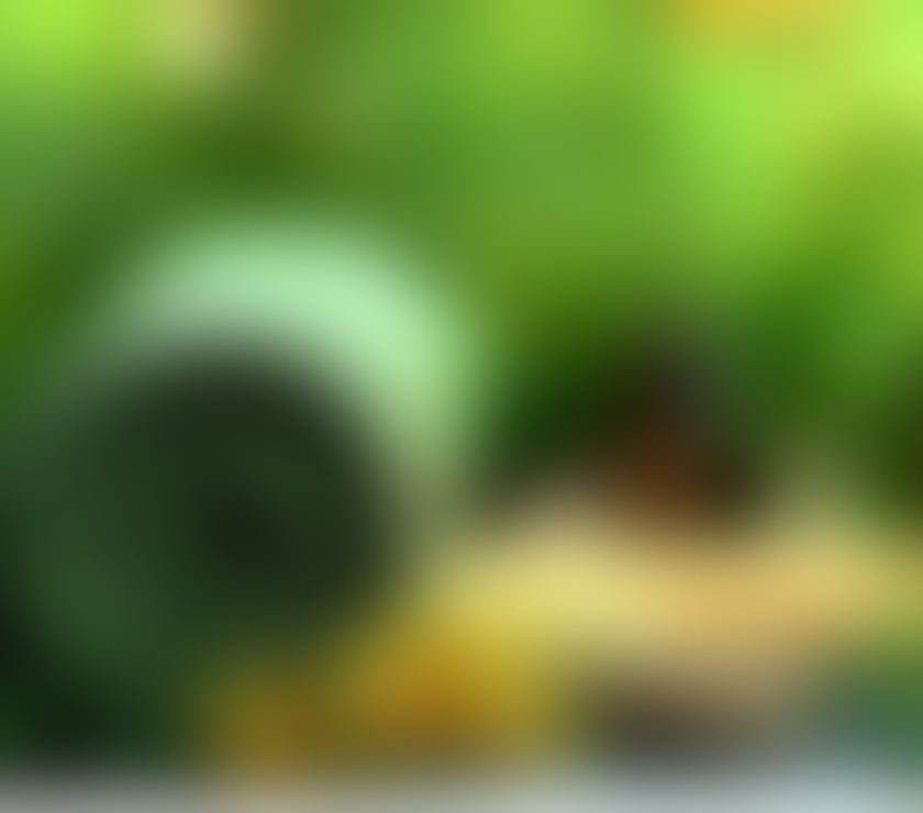 Escorts West Yorkshire Calderdale - Photos for Full body hot oils massage