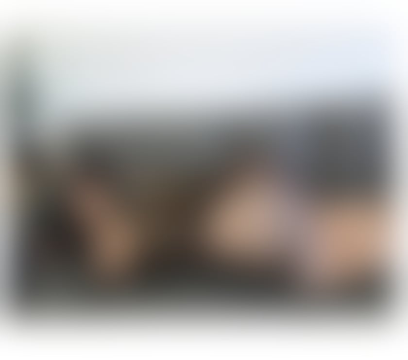 Escorts North West London Harrow - Photos for ❤️NEW PARTY GIRL am Katey Am new here Let’s meet