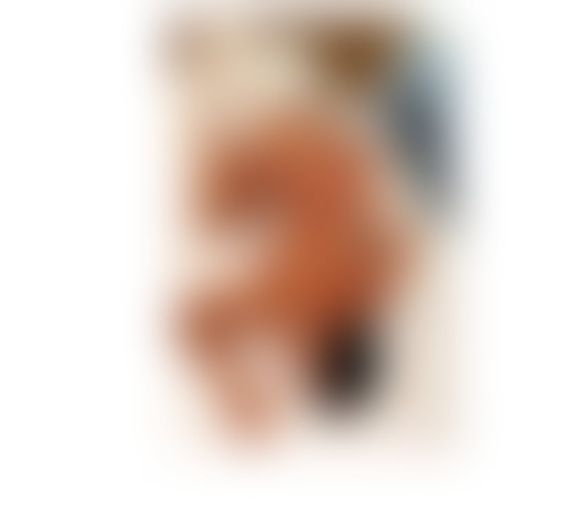 SENSUAL MODELS TOP QUALITY ESCORTS AND MASSAGE
