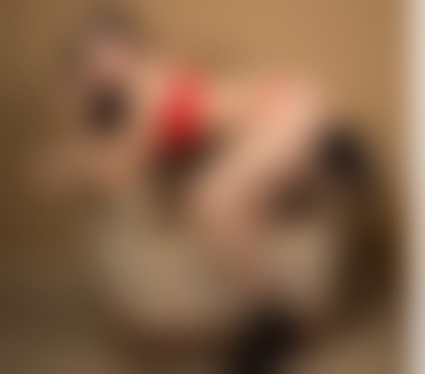 Escorts Central London Mayfair - Central London - Photos for HANNA hot party girl outcall 💯💯real pictures xxx