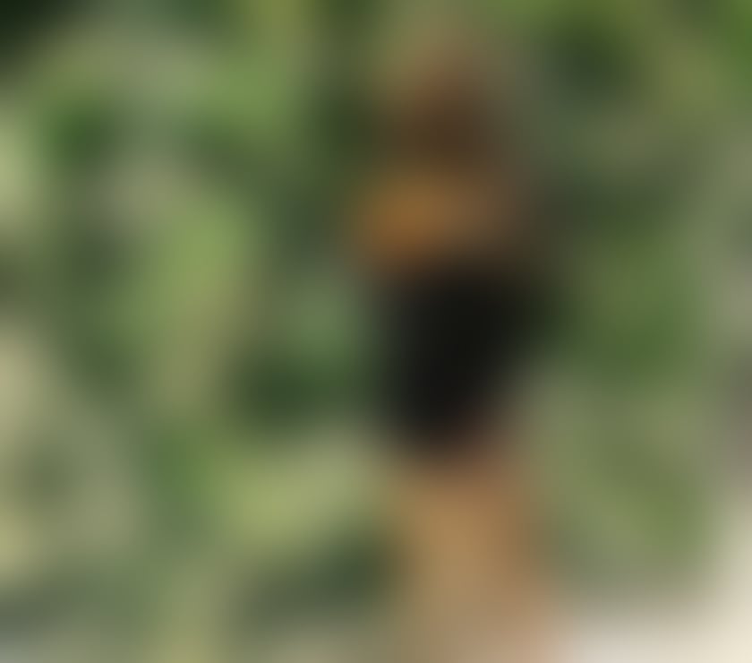 Escorts Surrey Elmbridge - Photos for Kim ✨ London based • Discreet • Unforgettable ✨