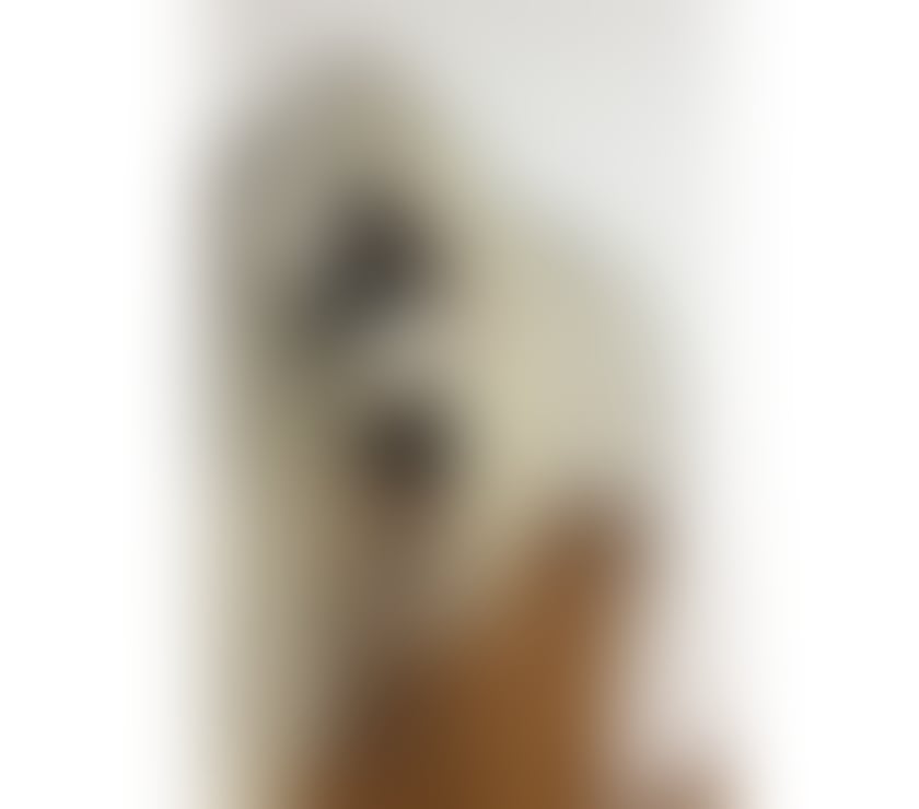 Escorts West London Hounslow - Photos for Party with Ayshaa 🚨🔥