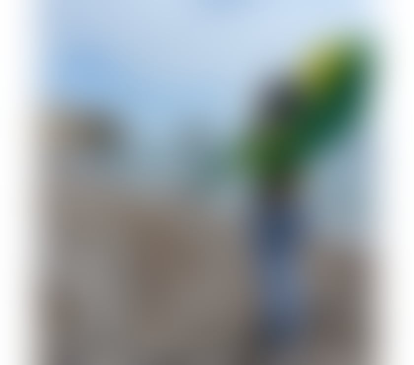 Biiia TS 🇧🇷 HIGH CLASS