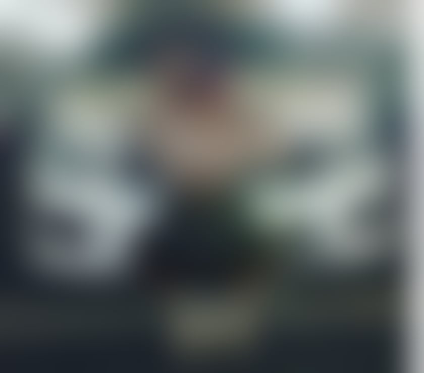 Honey bee in your area