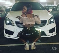 Honey bee in your area