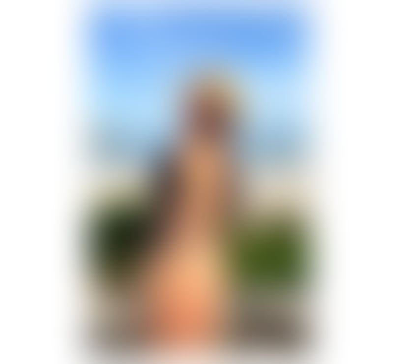 LAURA BIG ASS ✨🍑🇧🇷