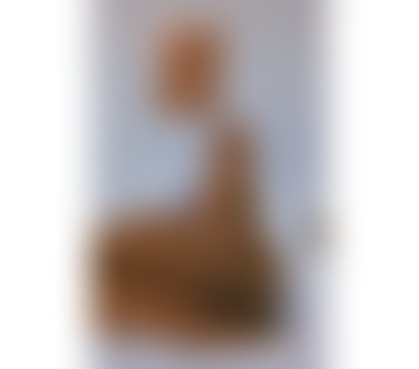 Escorts Leicestershire Leicester - Photos for Stunning beautiful 🤩 colombian party 🎉