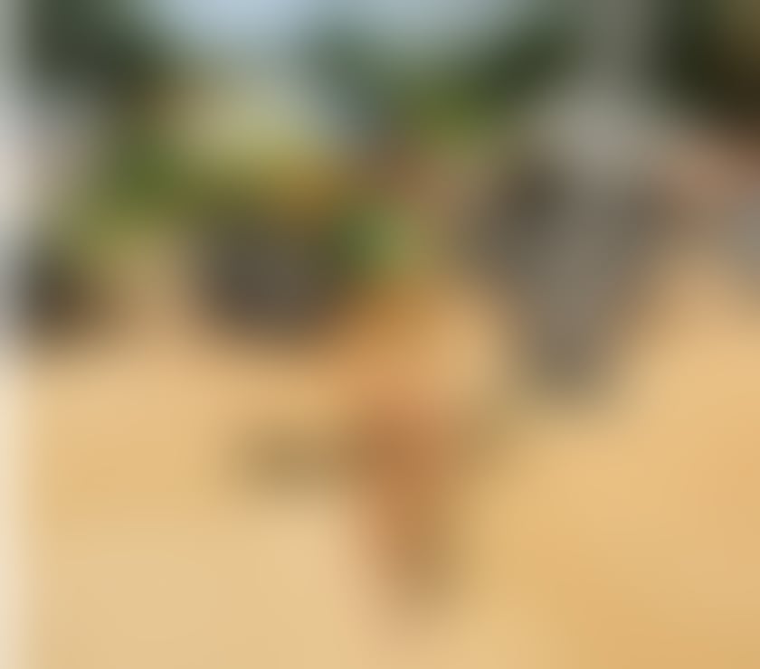 Escorts Newport - Wales Newport City Centre - Newport - Photos for MIKA 🔥PHOTO REAL PARTY 🎉 NEW CITY ONE WEEK