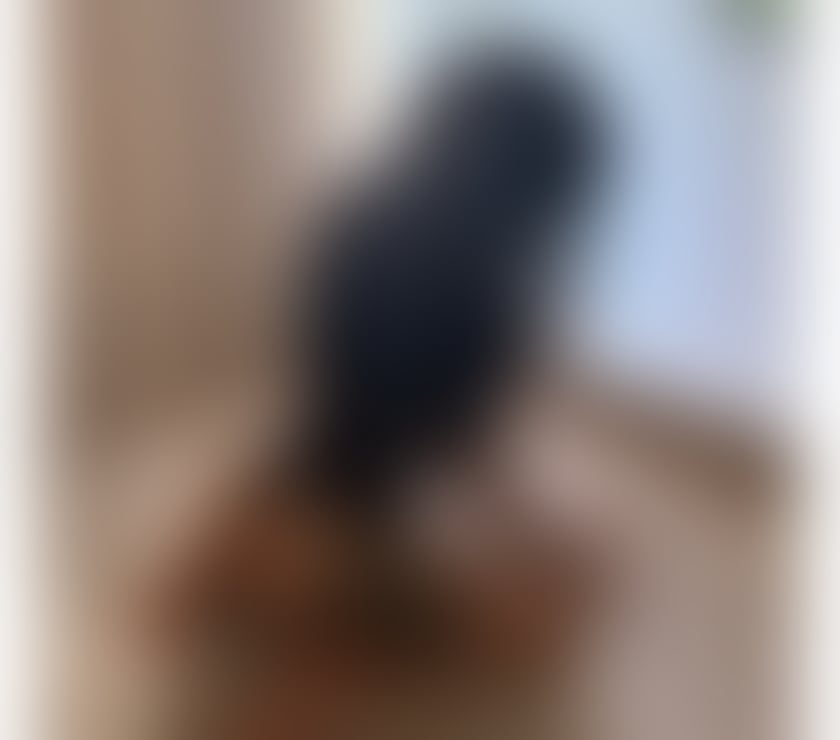 Escorts Hampshire Southampton - Photos for 🔥 Camila Sweet Brazilian in Southampton City Centre 💕