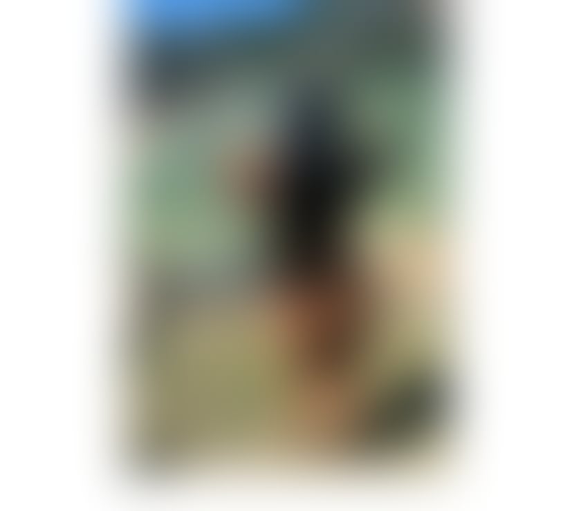 Escorts Cardiff Cardiff City Centre - Cardiff - Photos for Anne Brazilian the best