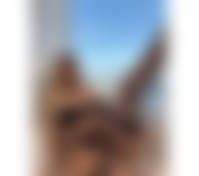 Escorts East London Redbridge - Photos for LATINA VERY HOT🔥PRETTY ASS🍑BEST SERVICE