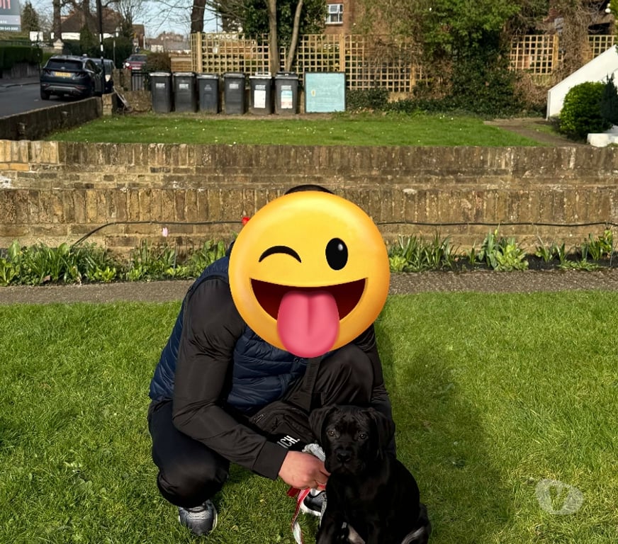 adult personals South East London West Croydon (Tramlink) Station - South East London - Photos for A Good Man who loves and is needed by others
