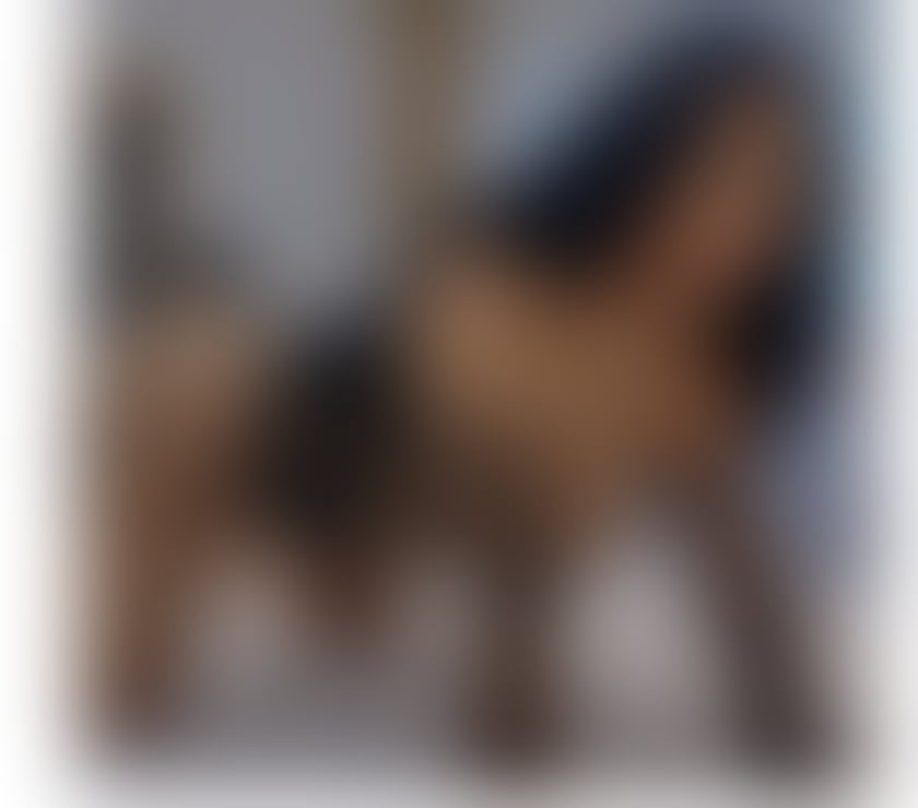 Escorts Devon Exeter - Photos for BEST GIRL🍭BEST SERVICE💦 HOT&SEXY 🥰narcisa