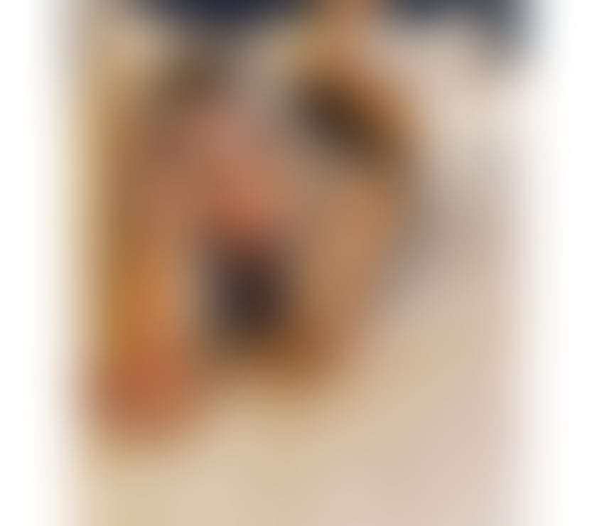 Escorts Wiltshire Swindon - Photos for New girl in town 🥰🥰