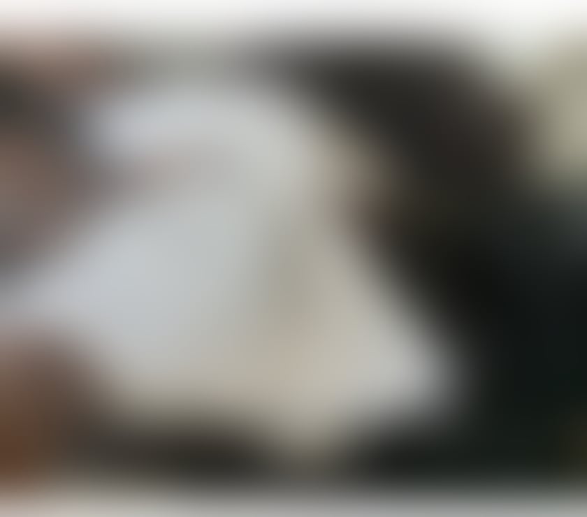 Escorts Maryhill Glasgow - Photos for 💥Naughty Curvy Busty Black Available In Glasgow 💥