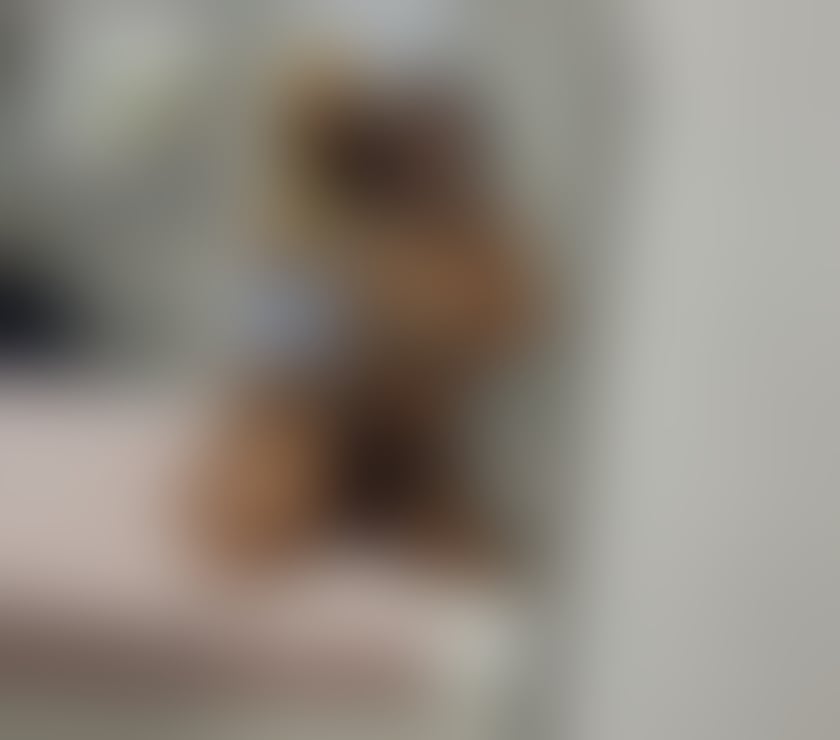 Escorts Cardiff Cardiff City Centre - Cardiff - Photos for New 2 girl ❤️party❤️