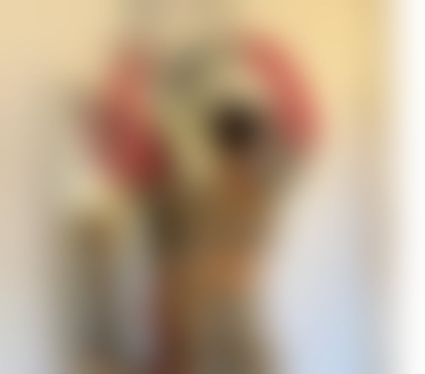 Escorts Devon Torbay - Photos for Escort and massage