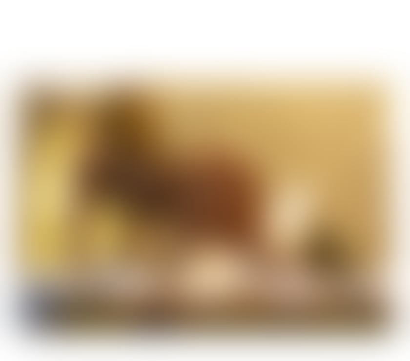 Escorts Cardiff Grangetown - Cardiff - Photos for LUANA, BRAZILIAN MODEL 🇧🇷