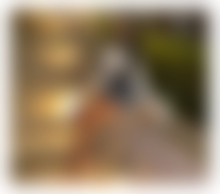 Escorts West Yorkshire Leeds - Photos for STOP !! STOP !!! 💋 SEXY BRUNETTE 😘PARTY💋💋