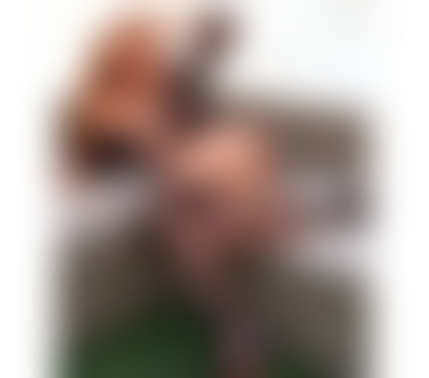 Trans Escorts South Yorkshire Sheffield - Photos for ✨Julia Brazilian 🇧🇷 😈 Party 🎊🎉