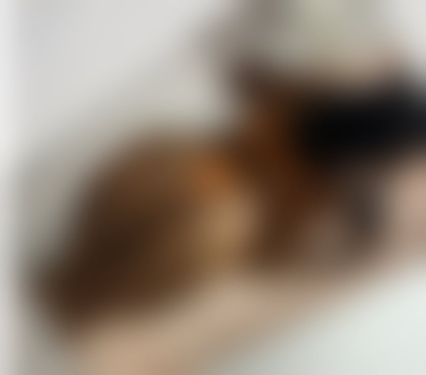 Escorts Greater Manchester Manchester - Photos for Kimberly good services