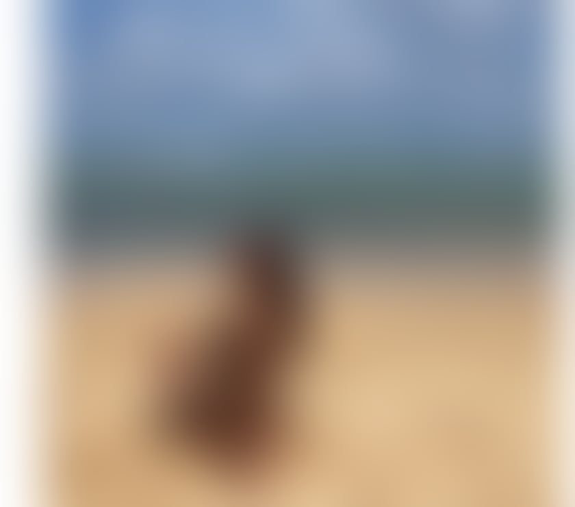 Escorts Shropshire Telford and Wrekin - Photos for Hello I am Cataleya I am Colombian and I am 27 years old