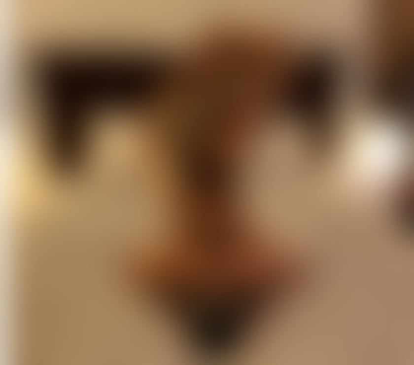 Escorts Slough Cippenham - Slough - Photos for Discreet & refined Sammy