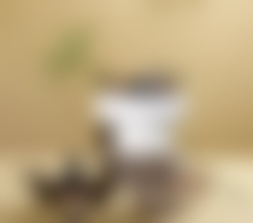 Escort Church Street Station South East London - Photos for Professional massage