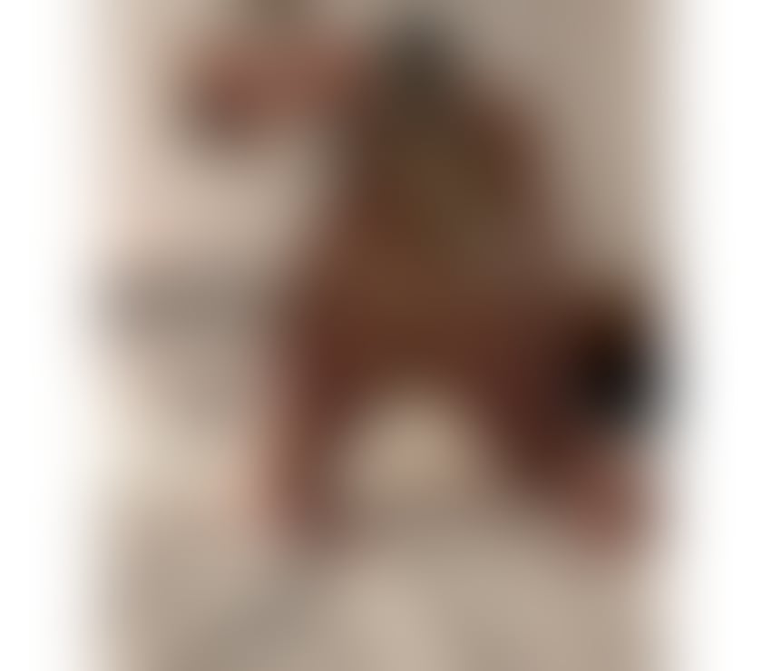 Incall Escorts Cardiff City Centre Cardiff - Photos for Sara♥️incall&outcall♥️italian brownie♥️