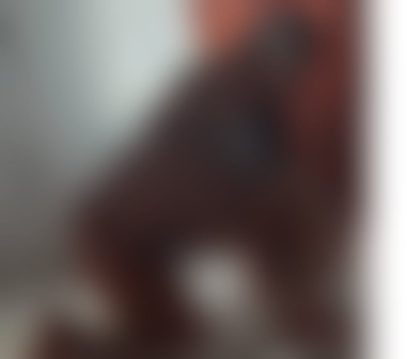 Escorts North Lanarkshire Motherwell - North Lanarkshire - Photos for 🍭HOT CURVY PARTY-GIRL🥳incal&outcal💦