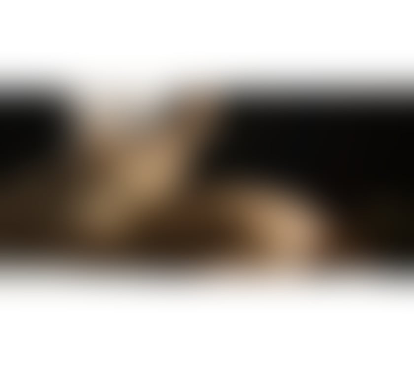  Escorts Norwich City Centre Norwich - Photos for Mobile Tantric Massage ( MALE) Therapist