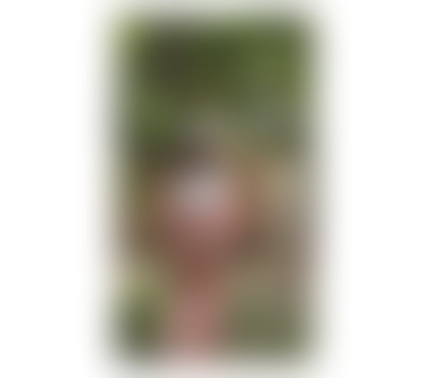  Escorts Laurieston Falkirk - Photos for SCOTTISH CURVY MILFF 07495364680 📍🔥🍉