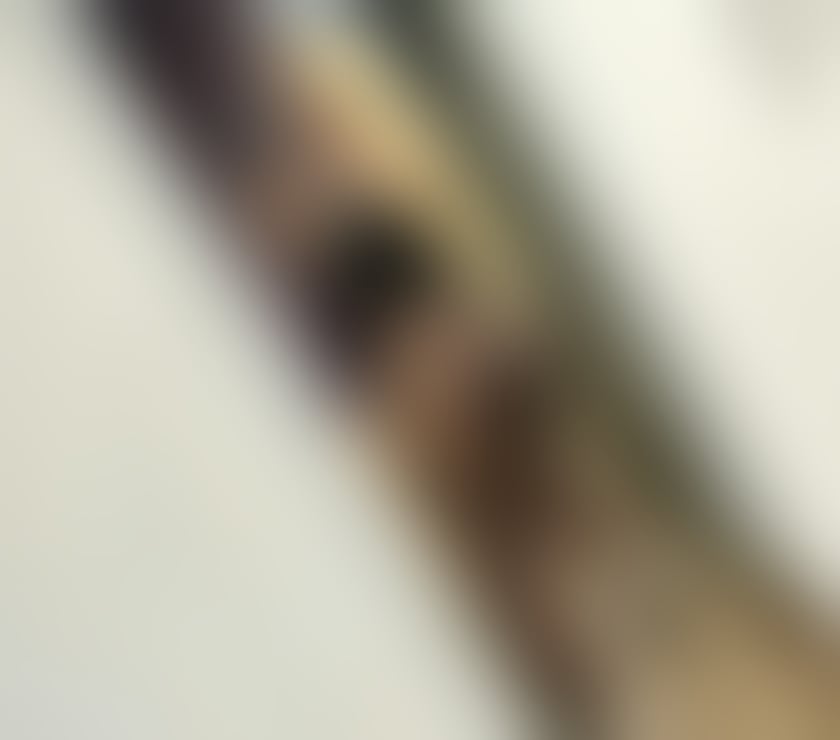 Escorts Belfast Belfast City Centre (South) - Belfast - Photos for 🍓 ⭐PAIGE AMAZING🍓JUST ARRIVED💫VIDEO VERIFIED✅