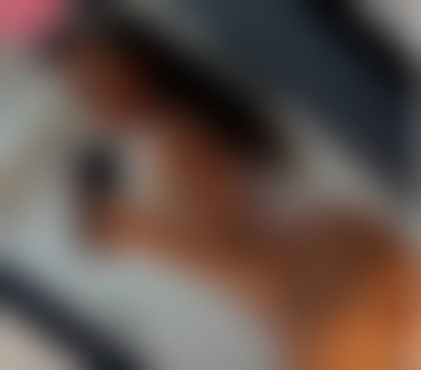 Escorts Leicestershire Leicester - Photos for BRAZILLIAN • NEW