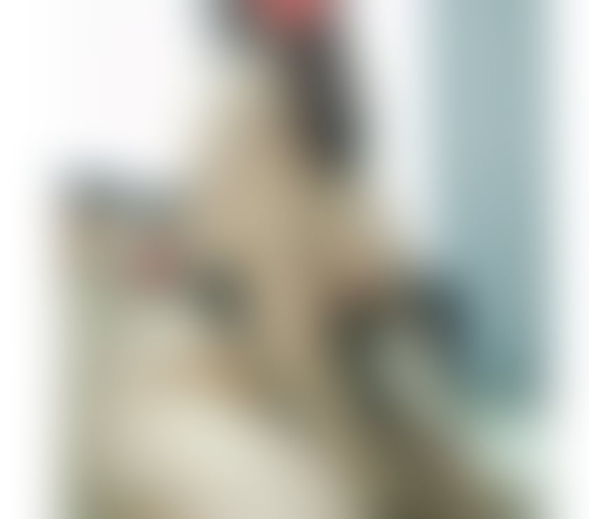 Escorts Peterborough Alwalton - Peterborough - Photos for Hey bby incall and outcall 🥂😘🥳