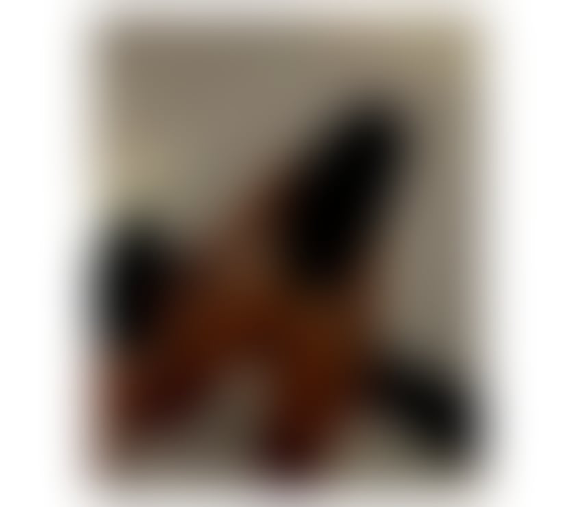 Escorts Norfolk Norwich - Photos for Karinne in town incall&outcall