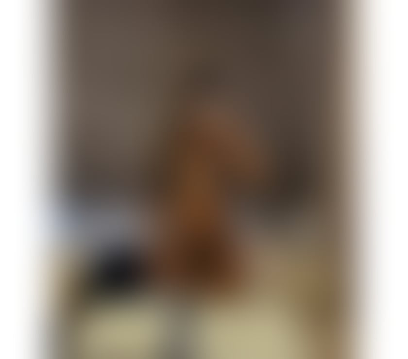Escort Hendon Central North West London - Photos for 🌹 BELLA 🌹 REAL PICS, PARTY GIRL 🌶️