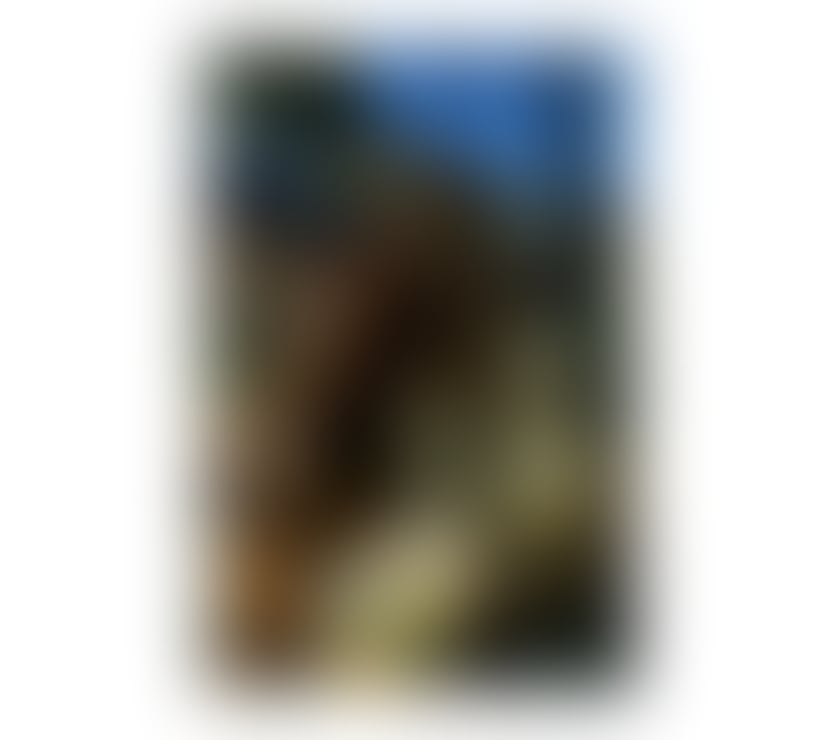 Escorts Surrey Elmbridge - Photos for Seductive & Unforgettable Company