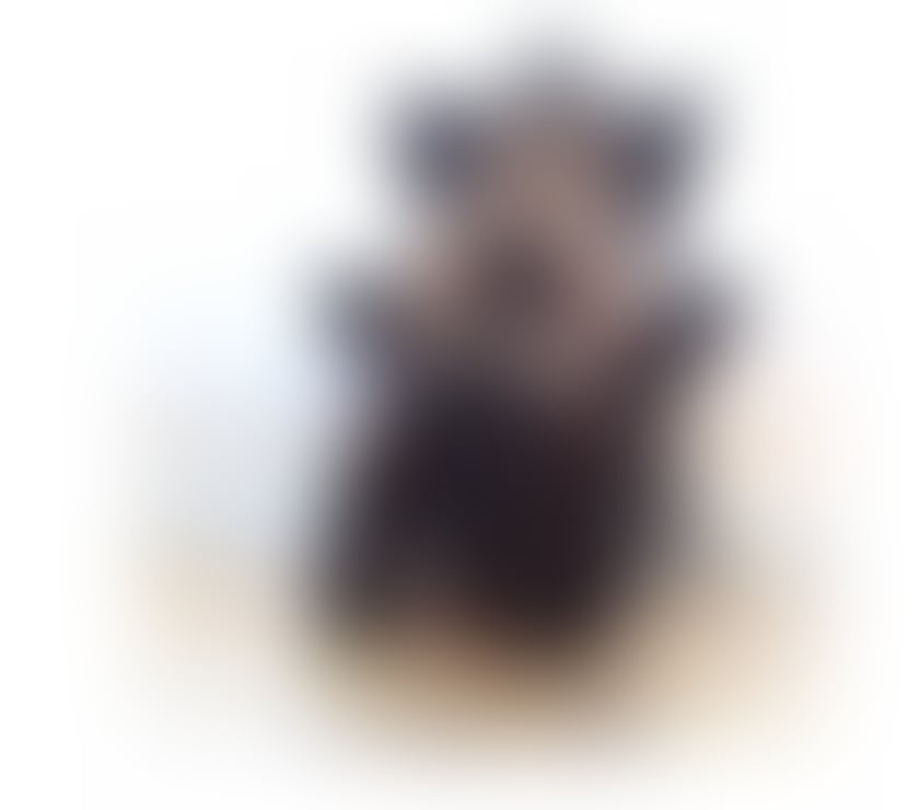Escorts Cambridgeshire South Cambridgeshire - Photos for Good🍓 service🍑quality classy brazilian