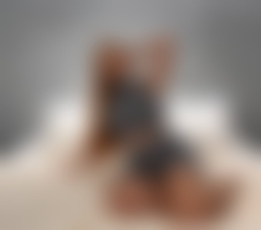 Escort Ab Kettleby Melton - Photos for ❤️‍🔥 The Exotic Coastal Redhead:Brazilian🔥