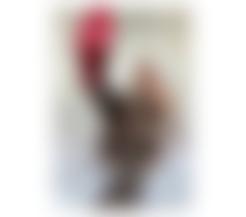 Escorts Greater Manchester Stockport - Photos for Alima, Hot Blonde 🔥Sweet, Wild & Discreet💋Reall 100%