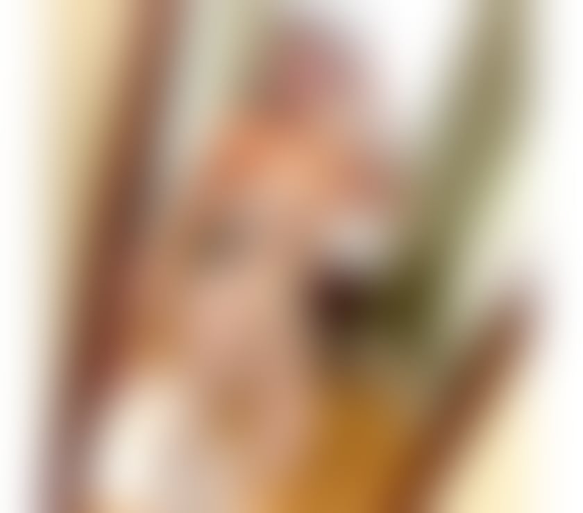 Escorts Leicestershire Leicester - Photos for MILLA LATINA 🔥