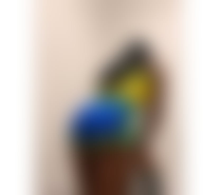 Trans Escorts Aberdeen Aberdeen City Centre - Aberdeen - Photos for SOPHY XXL 🍆🇧🇶