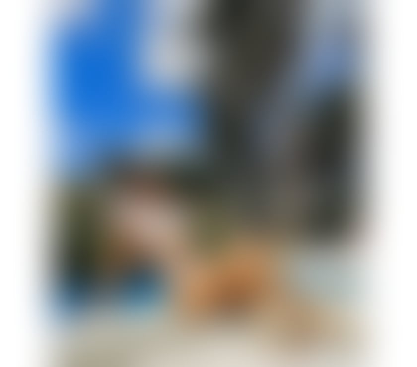 Escorts Reading Reading Town Centre - Reading - Photos for YOUR PETITE SWEET HOTTER THAN EVER🔥
