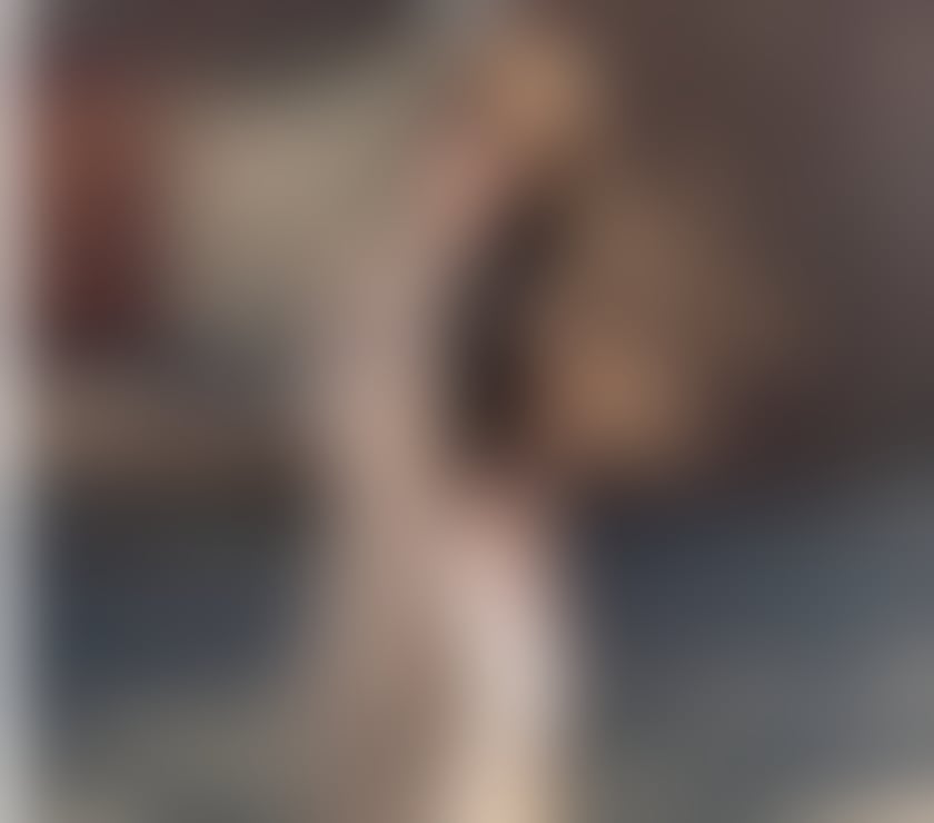 Escorts North Yorkshire Middlesbrough - Photos for 💫 Intimate Companion • Discreet & Elegant 💫