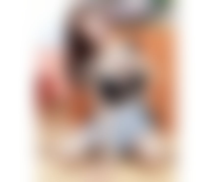 Escorts West Northamptonshire Northampton - West Northamptonshire - Photos for Thai Rita Beauty &Sweet New No Rush 🇹🇭 In NN1