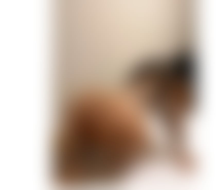 Escort Bolton City Centre Bolton - Photos for Hi, I'm Pamela, a beautiful Cuban woman.🔥💄🍾